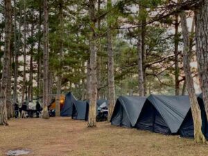 Cắm trại ở trong rừng